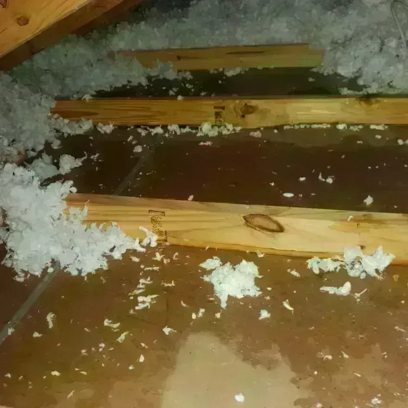 Attic Water Damage in Yamhill, OR